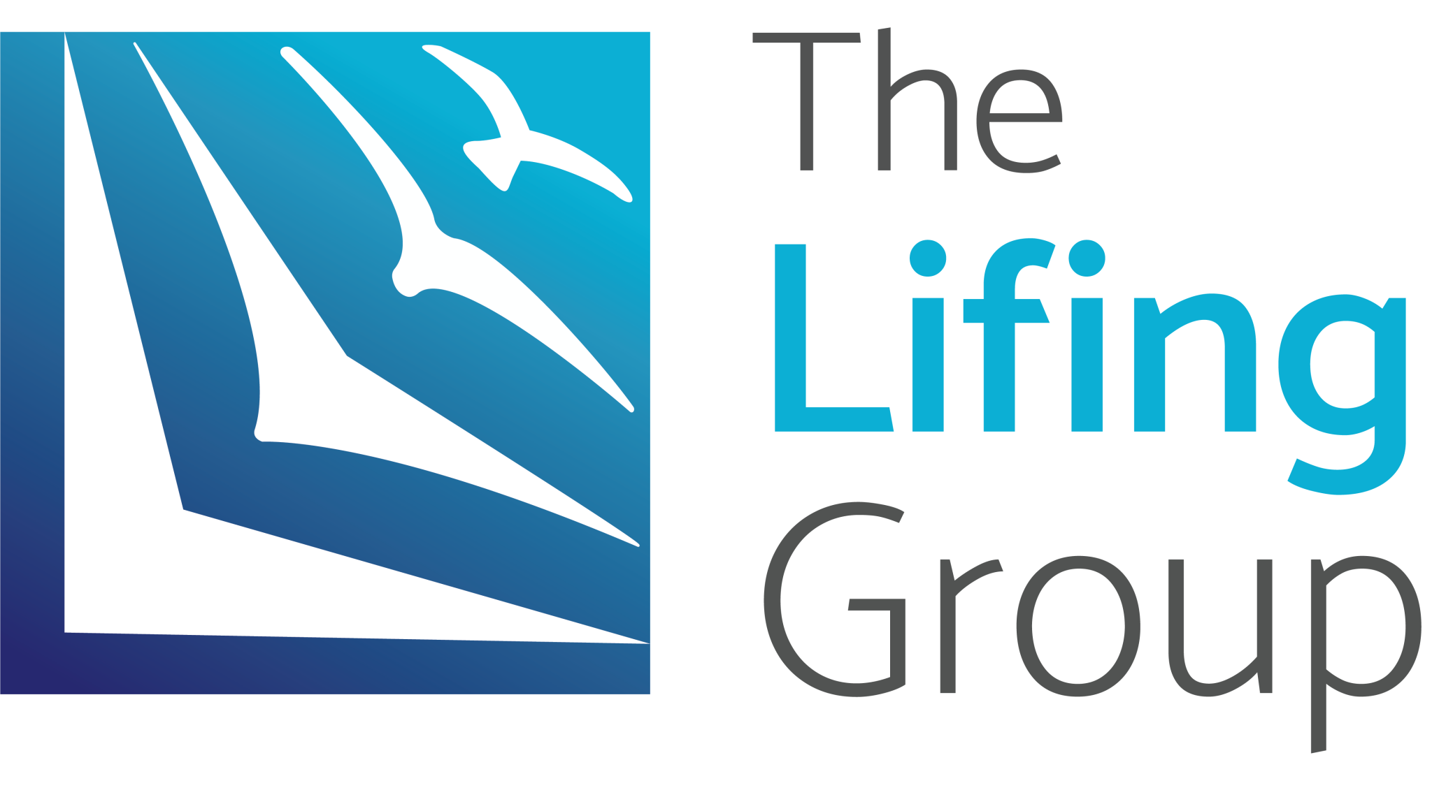 The Lifing Group
